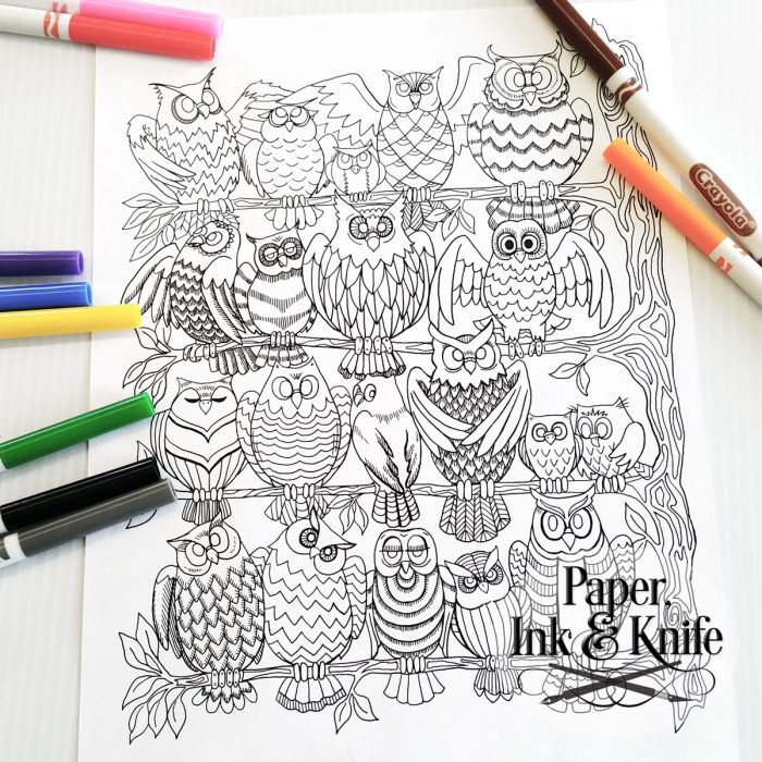 http://paperinkandknife.com/wp-content/uploads/owls-coloring-page-photo-1-700x700.jpg